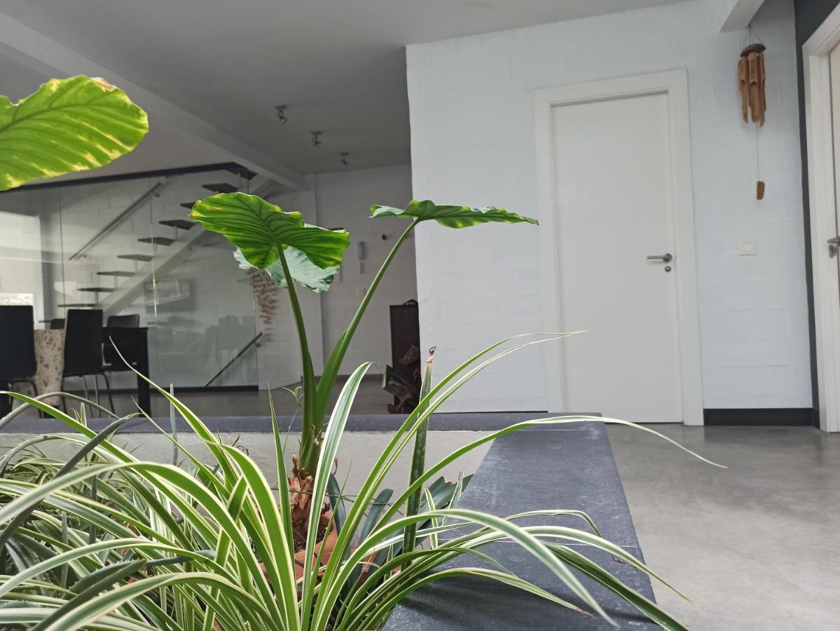 Loft Carrasketa Apartment Alfafara Ngoại thất bức ảnh